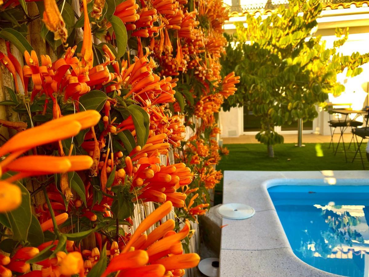 Suite Breeze - Private Heated Pool マラガ エクステリア 写真
